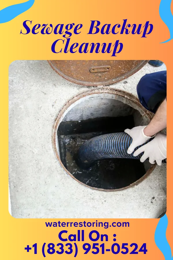 Sewage Backup Cleanup in North Potomac, MD